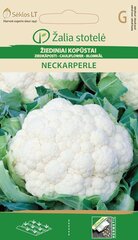 КАПУСТА ЦВЕТНАЯ NECKARPERLE «ŽALIA STOTELĖ» 0,50 Г цена и информация | Семена овощей, ягод | kaup24.ee