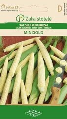 КУКУРУЗА MINIGOLD «ŽALIA STOTELĖ» 7 Г цена и информация | Семена овощей, ягод | kaup24.ee