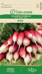 Harilik redis Kiva „Žalia stotelė” 4 G hind ja info | Köögivilja-, marjaseemned | kaup24.ee