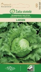 САЛАТЫ ДЛЯ ПОСЕВА. LARSEN «ŽALIA STOTELĖ» 1 Г цена и информация | Семена овощей, ягод | kaup24.ee