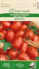 ПОМИДОРЫ СЪЕДОБНЫЕ BENITO H «ŽALIA STOTELĖ» 0,10 Г цена и информация | Семена овощей, ягод | kaup24.ee