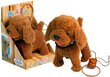 Interaktiivne kutsikas Puudel koos rihmaga цена и информация | Pehmed mänguasjad | kaup24.ee