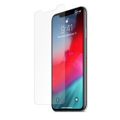 Nexeri Blue Line Защитная Плёнка Экрана Мобильного Телефона для Apple iPhone XS Max цена и информация | Защитные пленки для телефонов | kaup24.ee