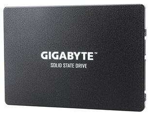 GIG GP-GSTFS31256GTND цена и информация | Внутренние жёсткие диски (HDD, SSD, Hybrid) | kaup24.ee