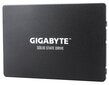 GIG GP-GSTFS31256GTND цена и информация | Sisemised kõvakettad (HDD, SSD, Hybrid) | kaup24.ee