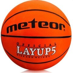 Korvpall METEOR LAYUP, suurus 5 цена и информация | Баскетбольные мячи | kaup24.ee