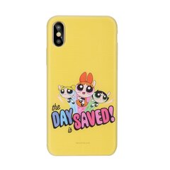 Cartoon Network The Powerpuff Girls Силиконовый чехол для Apple iPhone XS Max Команда цена и информация | Чехлы для телефонов | kaup24.ee