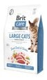 Brit Care Cat Grain-Free Large cats Power Vitality kassitoit 7 kg