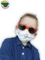 Ühekordsed meditsiinilised maskid lastele Syntheos LT „Smile”, 50tk цена и информация | Esmaabi | kaup24.ee