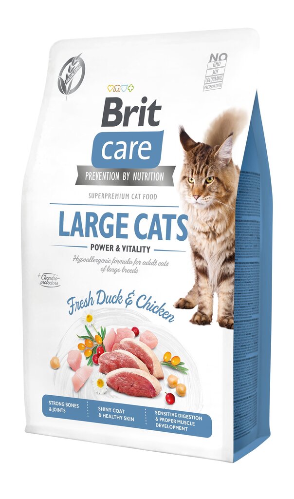 Brit Care Cat Grain-Free Large Cats Power Vitality kassitoit 0,4 kg цена и информация | Kuivtoit kassidele | kaup24.ee