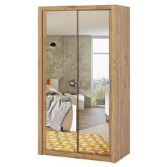 Шкаф с зеркалом Selsey Rinker 120, светло-коричневый цена и информация | Шкафы | kaup24.ee