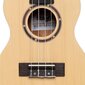 Kontsert-ukulele Stagg UC-30 Spruce hind ja info | Kitarrid | kaup24.ee