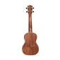 Kontsert-ukulele Stagg UC-30 Spruce hind ja info | Kitarrid | kaup24.ee