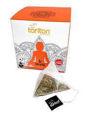 Аюрведический чай БУДЬ ЭНЕРГИЧНЫМ, AYURVEDIC TEA – BE ENERGETIC, пирамидки, 1.5 г x 15 шт., TARLTON цена и информация | Чай | kaup24.ee