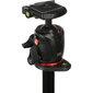 Manfrotto MK055XPRO3-BHQ2 hind ja info | Statiivid | kaup24.ee