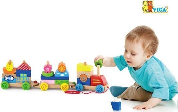 Värviline järelveetav rong Viga Toys hind ja info | Imikute mänguasjad | kaup24.ee