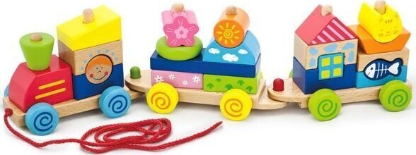 Värviline järelveetav rong Viga Toys цена и информация | Imikute mänguasjad | kaup24.ee
