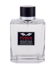 Tualettvesi Antonio Banderas Power of Seduction EDT meestele 200 ml цена и информация | Мужские духи | kaup24.ee