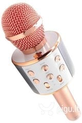 Микрофон для караоке Royal Song WS-858 цена и информация | Микрофоны | kaup24.ee