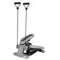 Stepper arvutiga inSPORTline Active hind ja info | Stepperid | kaup24.ee