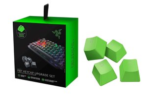 Кнопки клавиатуры Razer PBT Keycap Upgrade Set, зеленыe цена и информация | Клавиатура с игровой мышью 3GO COMBODRILEW2 USB ES | kaup24.ee