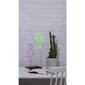 LED-dekoor Cactus 700-67 StarTrading цена и информация | Seinavalgustid | kaup24.ee