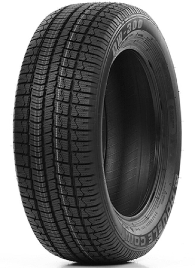 Double Coin DW300 SUV 225/60R18 104 V XL hind ja info | Talverehvid | kaup24.ee