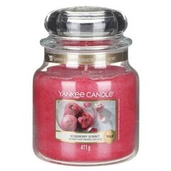 Ароматическая свеча Yankee Candle Roseberry Sorbet 411 г цена и информация | Свечи, подсвечники | kaup24.ee