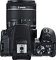 Canon EOS 250D + 18-55mm IS STM Kit, must hind ja info | Fotoaparaadid | kaup24.ee