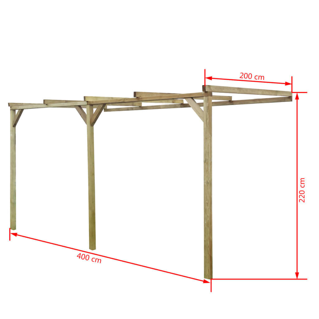 Puidust ronitaimede paviljon , 2 x 4 x 2,2 m цена и информация | Vaasid, alused, redelid lilledele | kaup24.ee