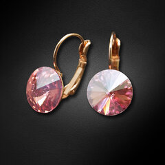 Naiste kõrvarõngad DiamondSky „Clarice II (Light Rose Moonlight)“ koos Swarovski kristallidega hind ja info | Kõrvarõngad | kaup24.ee