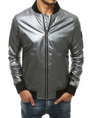 Куртка мужская Uvold, серая цена и информация | Мужские куртки | kaup24.ee