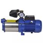 Manomeetriga veepump, 1 300 W, 5 100 l/h, sinine hind ja info | Aiapumbad | kaup24.ee