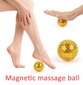 Akupunktuursed suured magnetpallid, 2tk hind ja info | Massaažikaubad | kaup24.ee