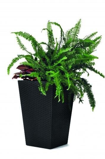 Lillepott Keter Rattan Planter, S, 43.5 cm hind ja info | Dekoratiivsed lillepotid | kaup24.ee