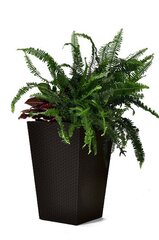 Цветочный горшок Rattan Planter M 55,4л, коричневый цена и информация | Вазоны | kaup24.ee