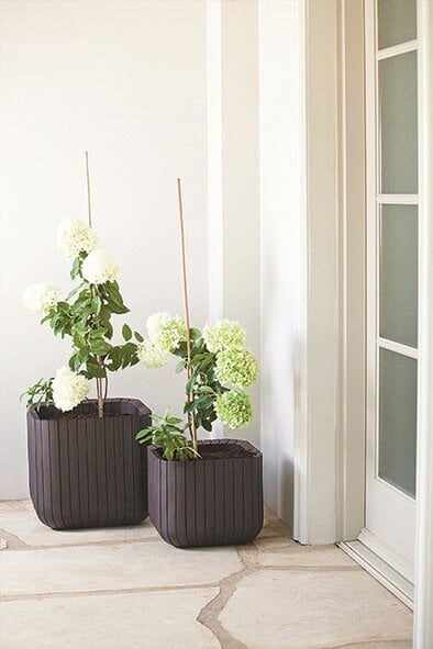 Keter Cube Planter pott, 50,5 l, pruun цена и информация | Dekoratiivsed lillepotid | kaup24.ee