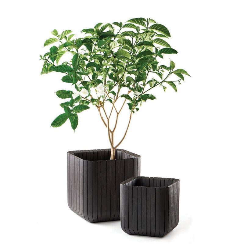 Keter Cube Planter pott, 50,5 l, pruun цена и информация | Dekoratiivsed lillepotid | kaup24.ee