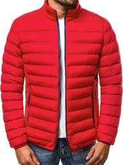 Куртка мужская Goll, красная цена и информация | Мужские куртки | kaup24.ee