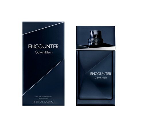 Calvin Klein Encounter EDT meestele 100 ml hind ja info | Meeste parfüümid | kaup24.ee