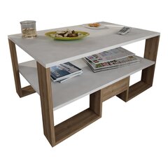 Кофейный столик Golden, белый/коричневый цена и информация | Журнальные столики | kaup24.ee