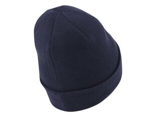 Talvemüts NIKE U NSW цена и информация | Мужские шарфы, шапки, перчатки | kaup24.ee