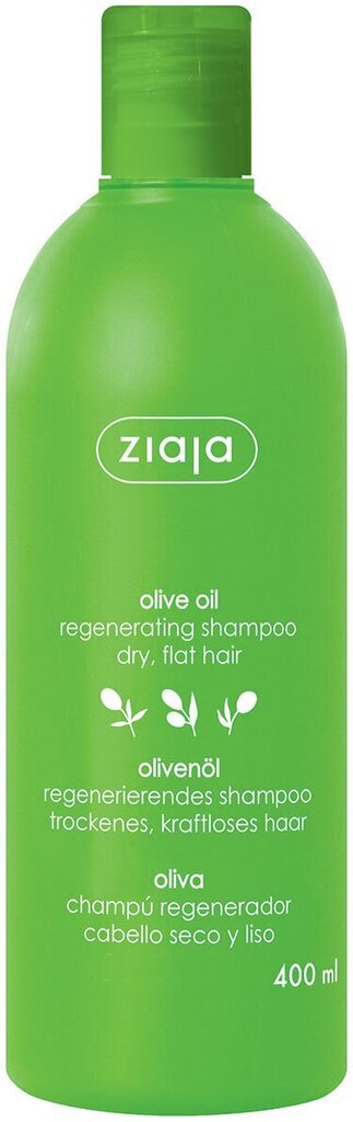 Hingeldamise šampoon, 400 ml цена и информация | Šampoonid | kaup24.ee