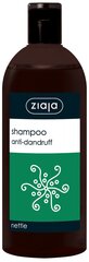 Kõõmavastane nõgesešampoon Ziaja, 500 ml hind ja info | Šampoonid | kaup24.ee