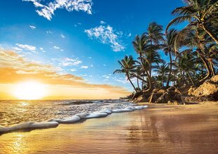 Pusle Clementoni High Quality Collection Tropical sunrise (Troopiline päikesetõus), 1500-osaline цена и информация | Пазлы | kaup24.ee