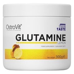 Аминокислоты OstroVit Glutamine, 300 г  цена и информация | Аминокислоты | kaup24.ee