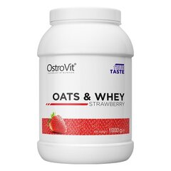 Proteiinipulber OstoVit Oats & Whey 1 kg, maasika maitsega hind ja info | Aminohapped | kaup24.ee