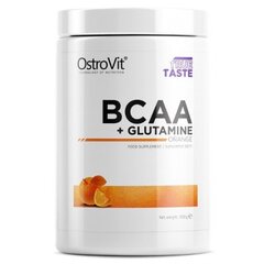 Toidulisand - OstroVit BCAA+Glutamine aminohapped (500 g) цена и информация | Аминокислоты | kaup24.ee