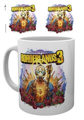 Borderlands 3 цена и информация | Атрибутика для игроков | kaup24.ee