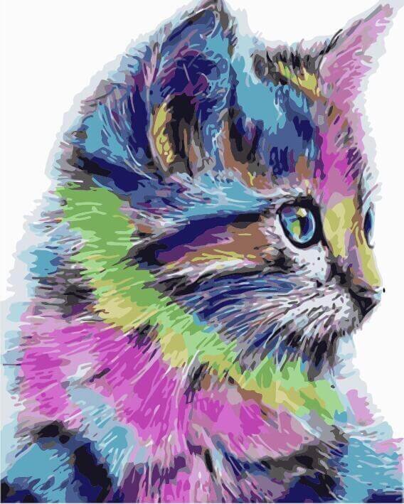 Maalid numbrite järgi TM TSVETNOY Värvikas kassipoeg, 40x50 cm hind ja info | Maalid numbri järgi | kaup24.ee